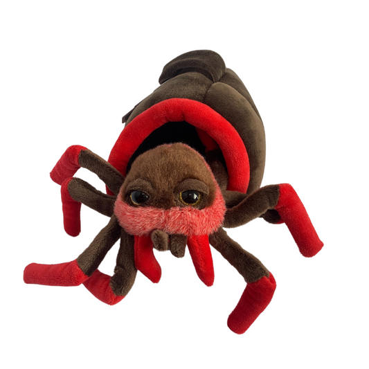 Animal House Spider