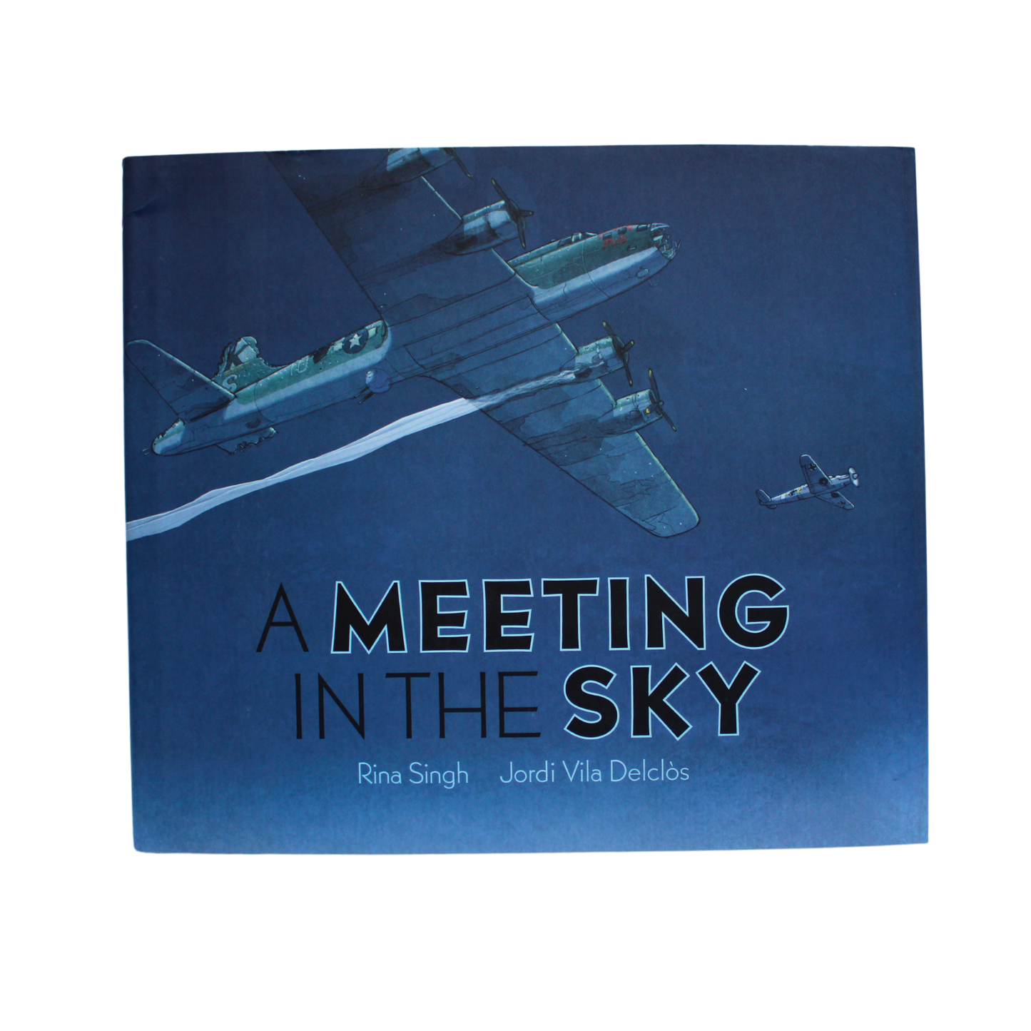 A Meeting in the Sky