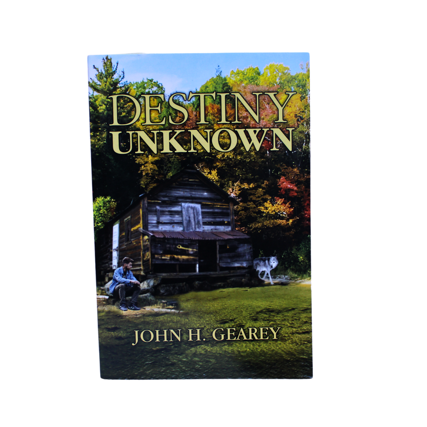 Destiny Unknown by John H Gearey