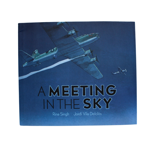 A Meeting in the Sky