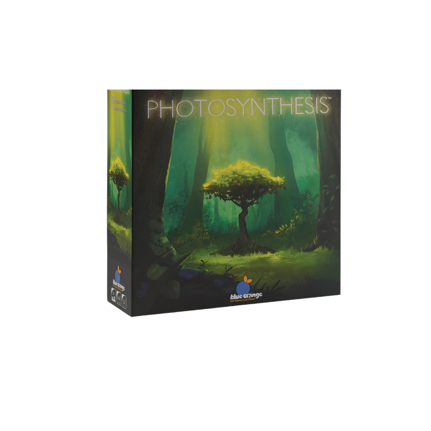 Photosynthesis Board Game